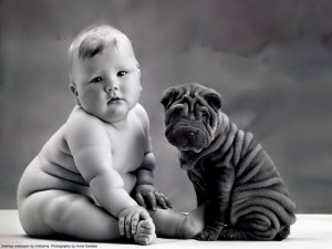 Bebe